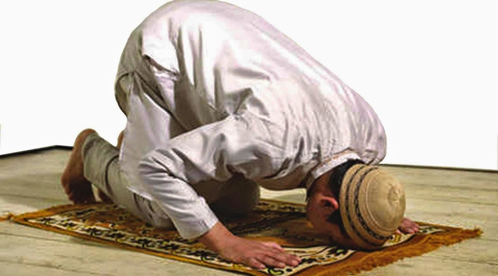 كيفية صلاة الوتر