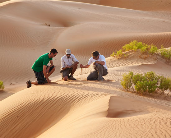 نزهات جديدة سيراً على الأقدام في قصر السراب منتجع الصحراء بإدارة أنانتارا