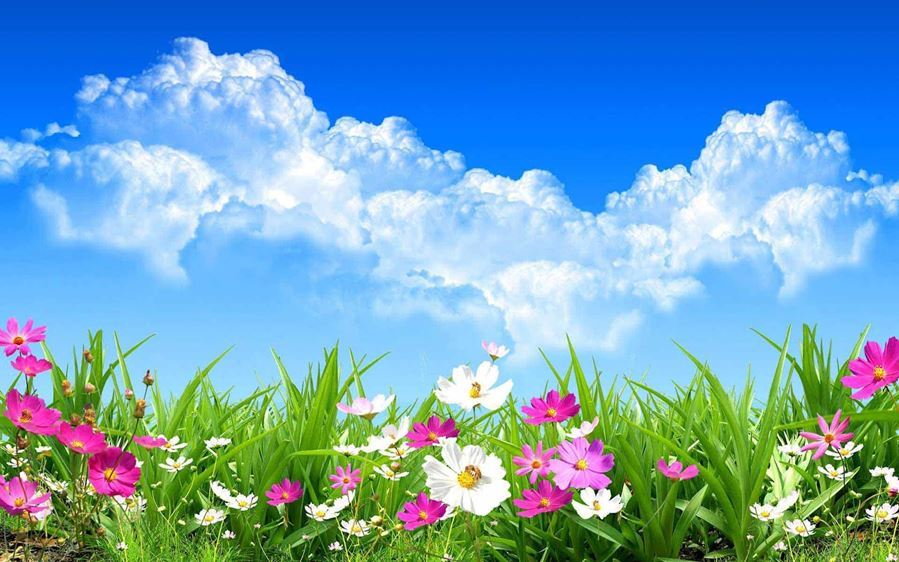 دعاء الفرج قصير
