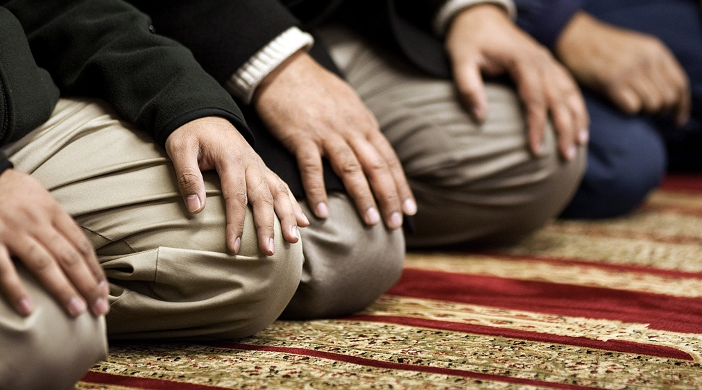 صلاة الوتر جماعة