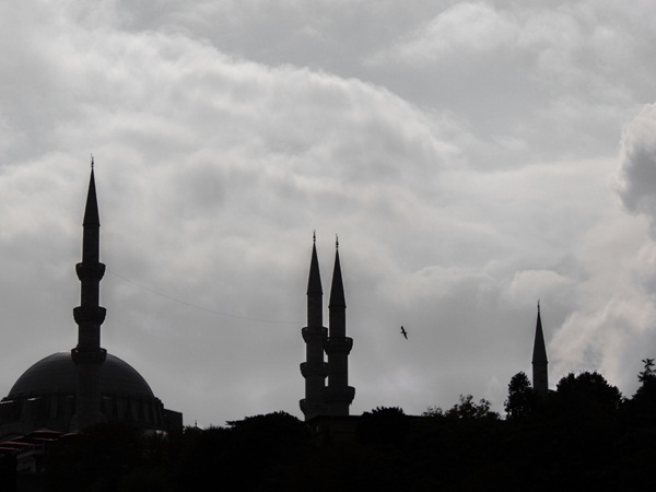 حكم صلاة الوتر