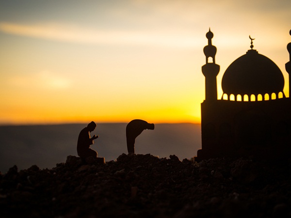 بحث عن سورة التوبة