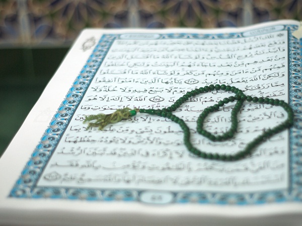 فضل صلاة الظهر