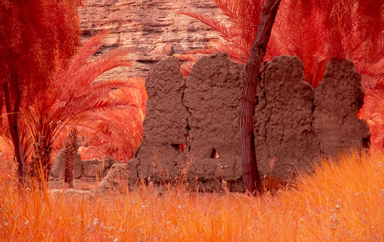 هذا ما ينتظر هواة الفنون في العلا السعودية