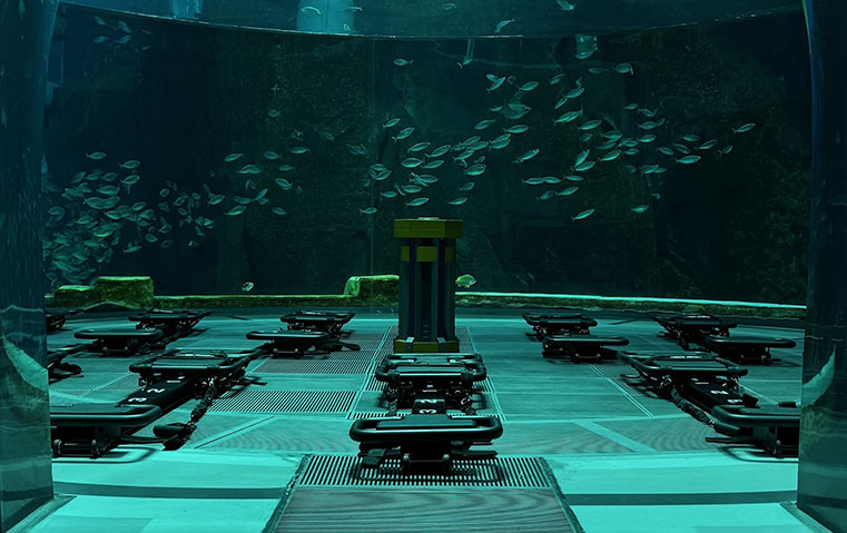 انطلقي مع FORM Studio في رحلات لياقة غامرة بين طبيعة أبوظبي ومعالمها