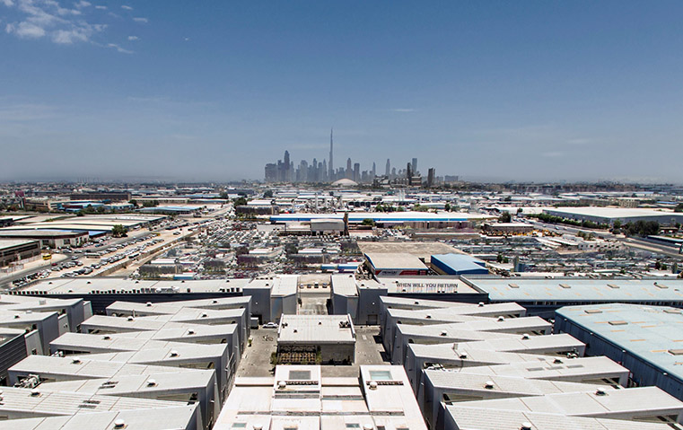 شراكة جديدة بين السركال وديزاين ميامي تنطلق في 2027