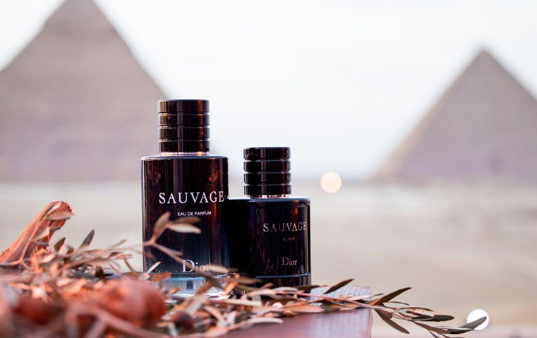 أبرز مشاهير المنطقة العربية بضيافة ديور للاحتفال بـ Dior Sauvage في مصر