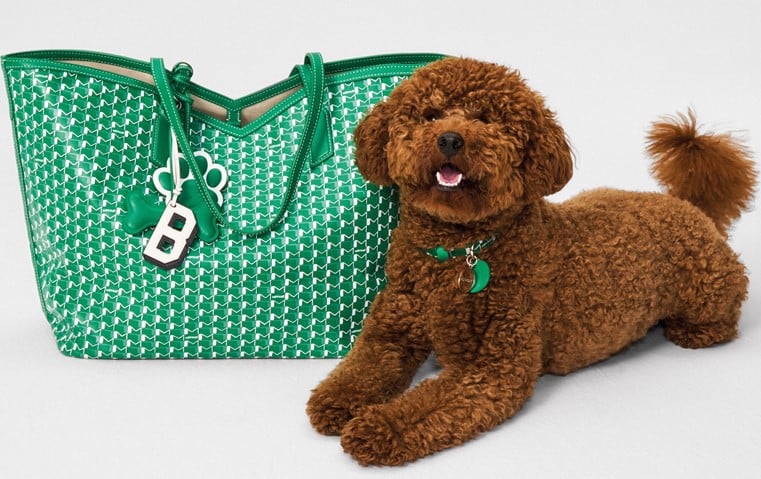 حقائب Moynat... للحيوانات الأنيقة فقط