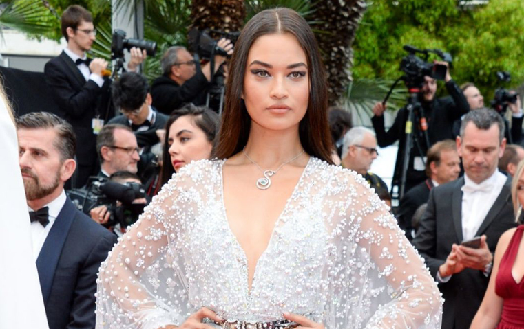 على خُطى إيرينا شايك وبرادلي كوبر، شانينا شايك تُعلن عن انفصالها بعد عام واحد من الزواج