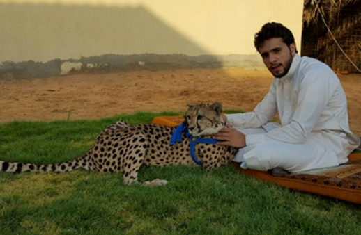 صاحب "نمر" بريدة: هكذا دخل الفهد المسجد!