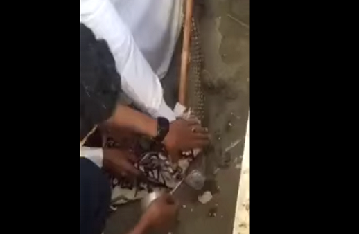 تمساح يتجول في شوارع  السعودية!