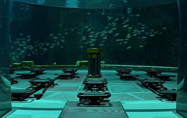 انطلقي مع FORM Studio في رحلات لياقة غامرة بين طبيعة أبوظبي ومعالمها