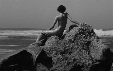 لهذا اختارت شانيل مدينة بياريتز لعرض كروز 2026-2027